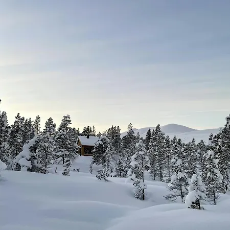 Cozy At The Gateway To Jotunheimen בית נופש Vaga