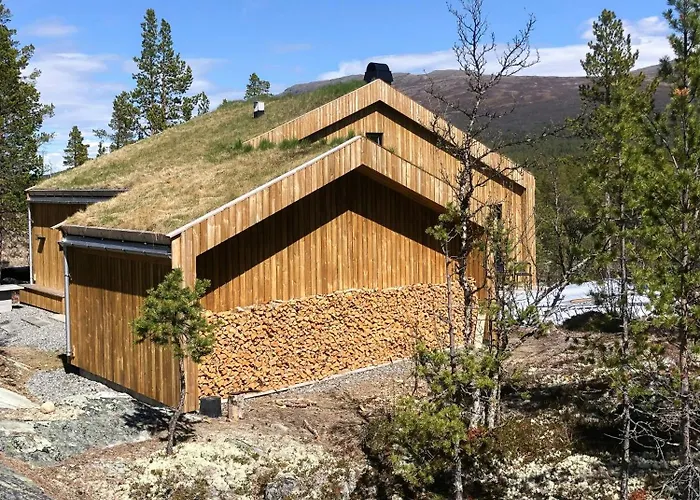 Cozy At The Gateway To Jotunheimen *